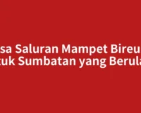 Jasa Saluran Mampet Bireuen untuk Sumbatan yang Berulang