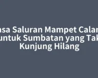 Jasa Saluran Mampet Calang untuk Sumbatan yang Tak Kunjung Hilang