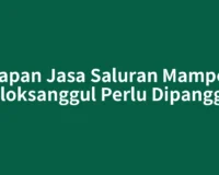 Kapan Jasa Saluran Mampet Doloksanggul Perlu Dipanggil?