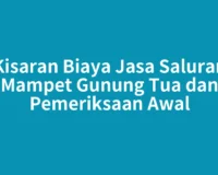 Kisaran Biaya Jasa Saluran Mampet Gunung Tua dan Pemeriksaan Awal