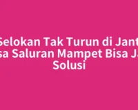 Air Selokan Tak Turun di Jantho? Jasa Saluran Mampet Bisa Jadi Solusi