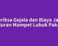 Periksa Gejala dan Biaya Jasa Saluran Mampet Lubuk Pakam