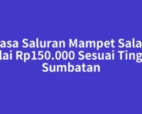 Jasa Saluran Mampet Salak Mulai Rp150.000 Sesuai Tingkat Sumbatan