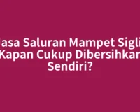 Jasa Saluran Mampet Sigli, Kapan Cukup Dibersihkan Sendiri?