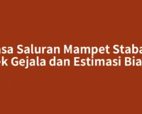 Jasa Saluran Mampet Stabat: Cek Gejala dan Estimasi Biaya
