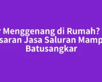 Air Menggenang di Rumah? Ini Kisaran Jasa Saluran Mampet Batusangkar