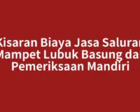 Kisaran Biaya Jasa Saluran Mampet Lubuk Basung dan Pemeriksaan Mandiri