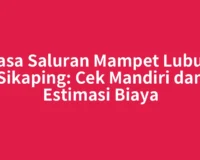Jasa Saluran Mampet Lubuk Sikaping: Cek Mandiri dan Estimasi Biaya