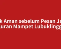 Cek Aman sebelum Pesan Jasa Saluran Mampet Lubuklinggau