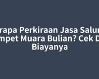 Berapa Perkiraan Jasa Saluran Mampet Muara Bulian? Cek Dulu Biayanya
