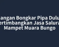 Jangan Bongkar Pipa Dulu, Pertimbangkan Jasa Saluran Mampet Muara Bungo