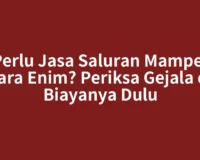 Perlu Jasa Saluran Mampet Muara Enim? Periksa Gejala dan Biayanya Dulu