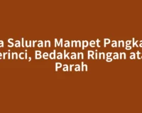 Jasa Saluran Mampet Pangkalan Kerinci, Bedakan Ringan atau Parah
