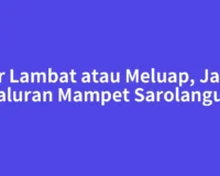 Air Lambat atau Meluap, Jasa Saluran Mampet Sarolangun