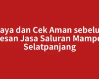 Biaya dan Cek Aman sebelum Pesan Jasa Saluran Mampet Selatpanjang