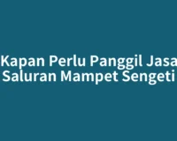 Kapan Perlu Panggil Jasa Saluran Mampet Sengeti