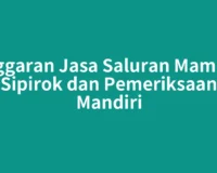 Anggaran Jasa Saluran Mampet Sipirok dan Pemeriksaan Mandiri