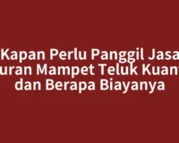 Kapan Perlu Panggil Jasa Saluran Mampet Teluk Kuantan dan Berapa Biayanya