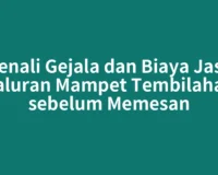 Kenali Gejala dan Biaya Jasa Saluran Mampet Tembilahan sebelum Memesan