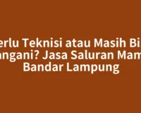 Perlu Teknisi atau Masih Bisa Ditangani? Jasa Saluran Mampet Bandar Lampung